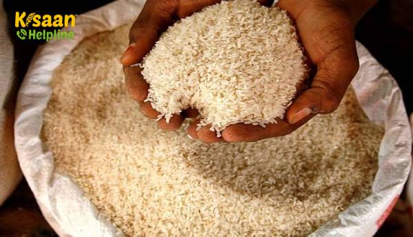 सरकार ने अब तक एमएसपी पर 79,675 करोड़ रुपये के धान की खरीद की